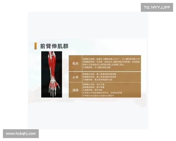 网球比赛中的常见伤病类型及其预防与恢复措施分析 网球比赛中的常见伤病类型及其预防与恢复措施分析